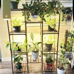 Plant Stand With 4 Grow Lights 47”35”12”