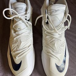 Nike Lebron 13