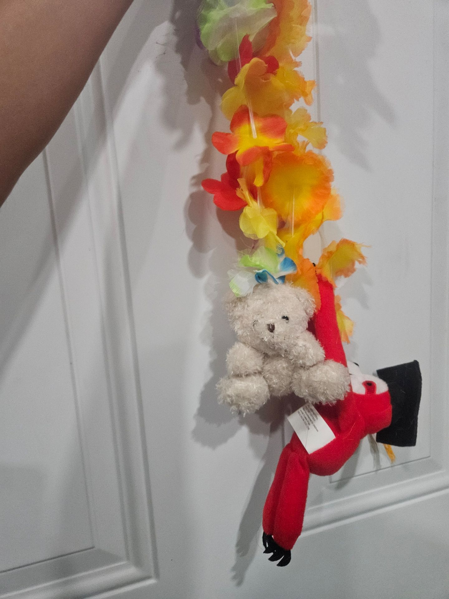 Graduation Leis