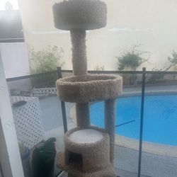 Cat Climber Tower