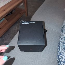 Verizon Internet Gateway Router