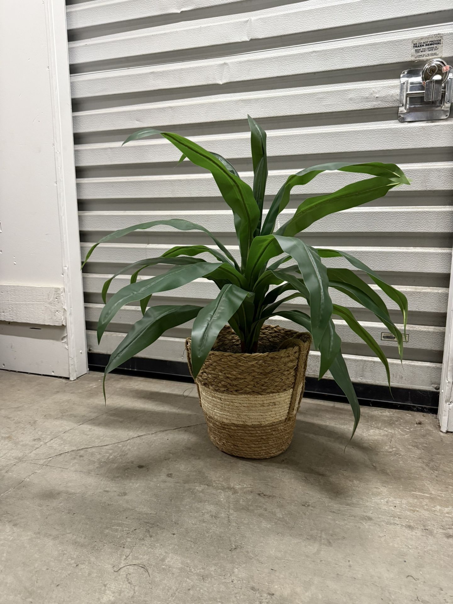 Fake Plant 