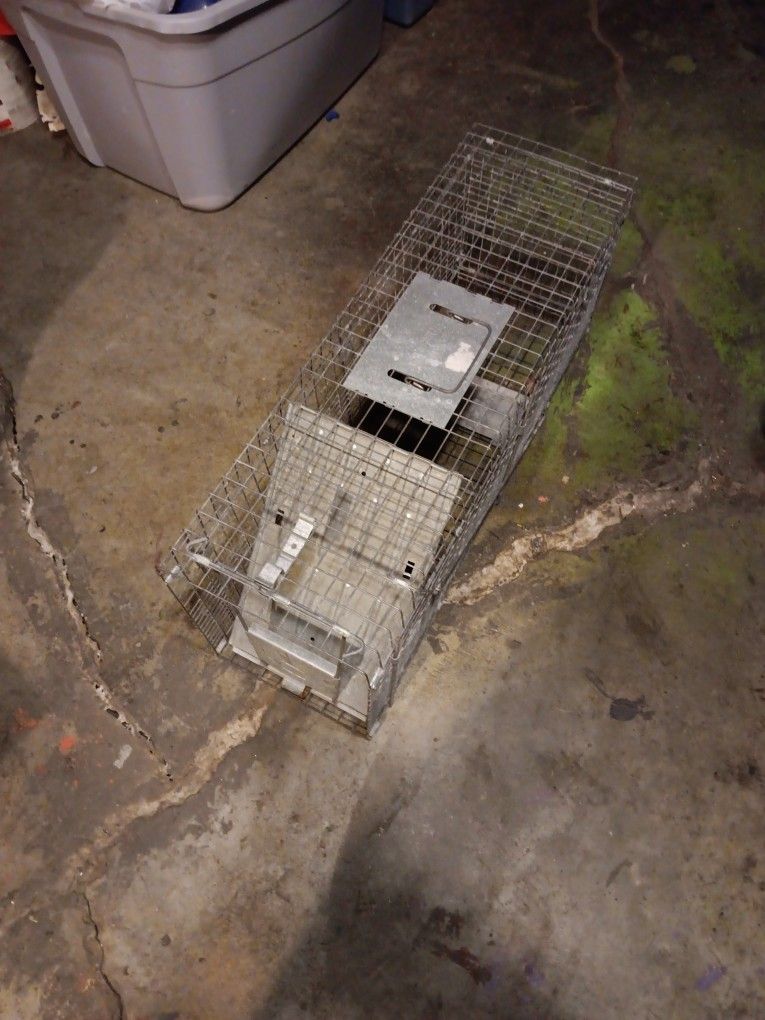 Live Animal Trap
