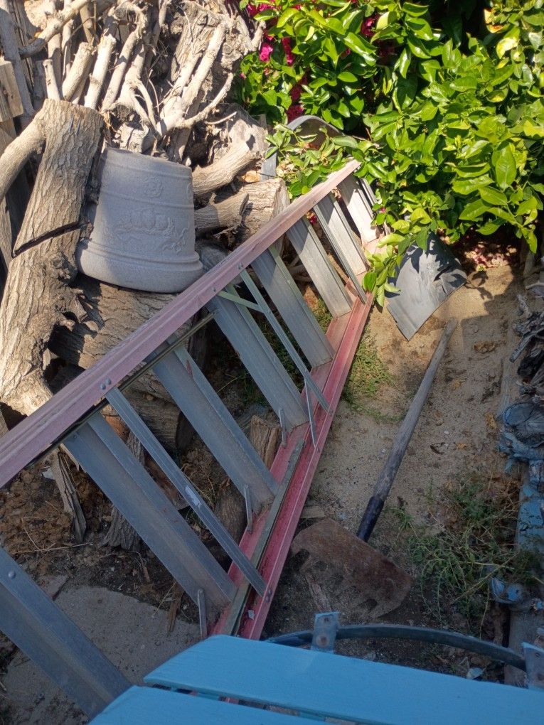 12 Foot Ladder Werner