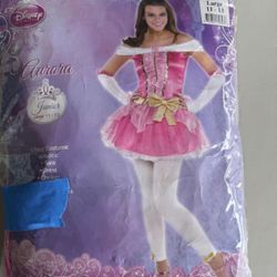 Sleeping Beauty Costume (Disney)