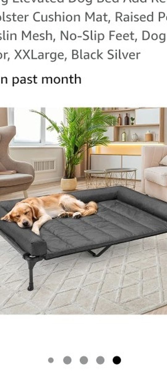 Elevated Extra Large Dog Bed (Huge)