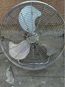 Lakewood  Fan