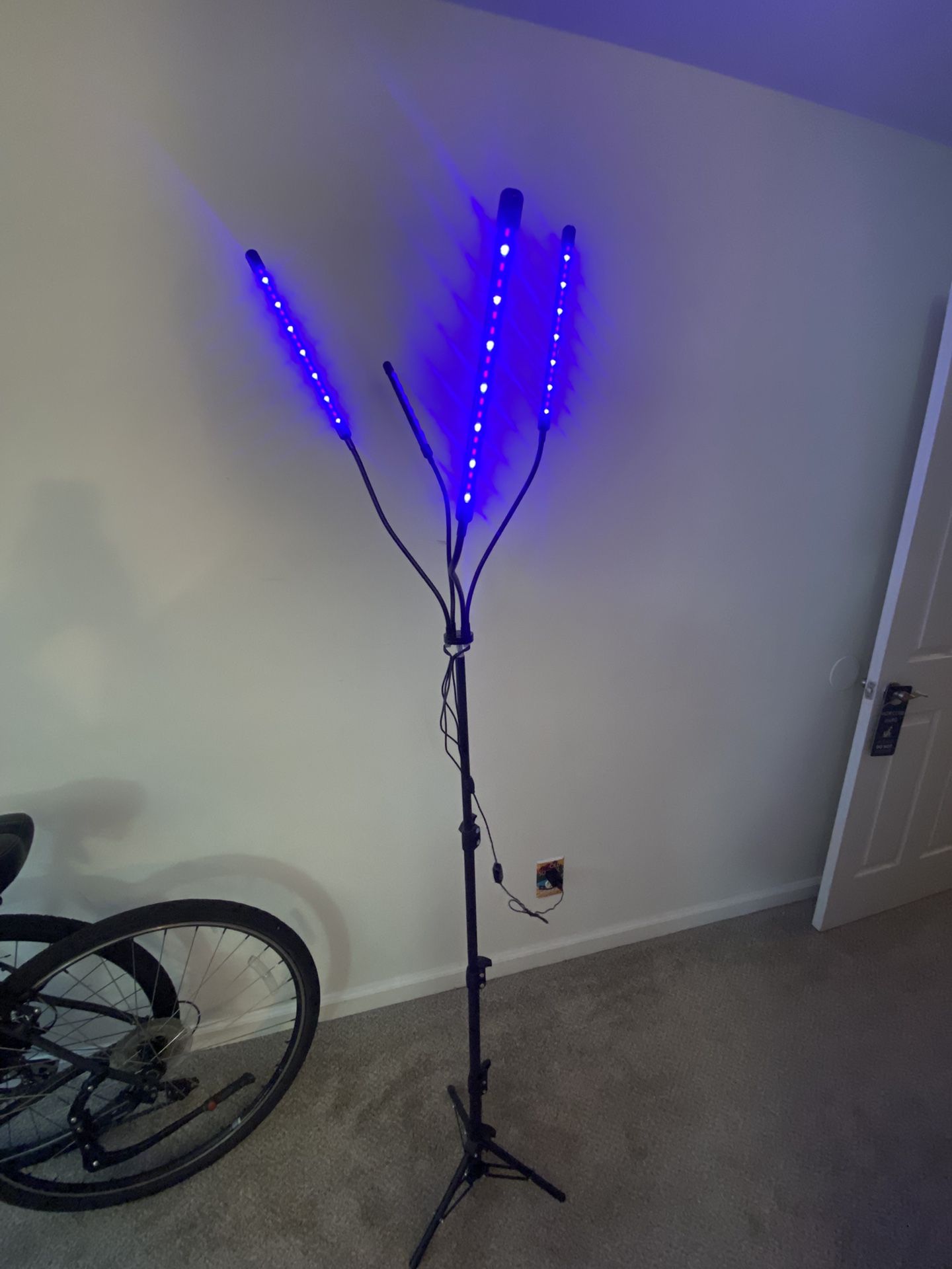 Lamp For plants