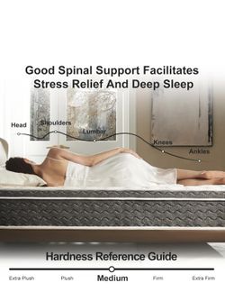 Queen Mattress