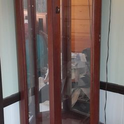 Curio Cabonet. Beautiful Dark Wood. Mirrored. Lighted. $95.00