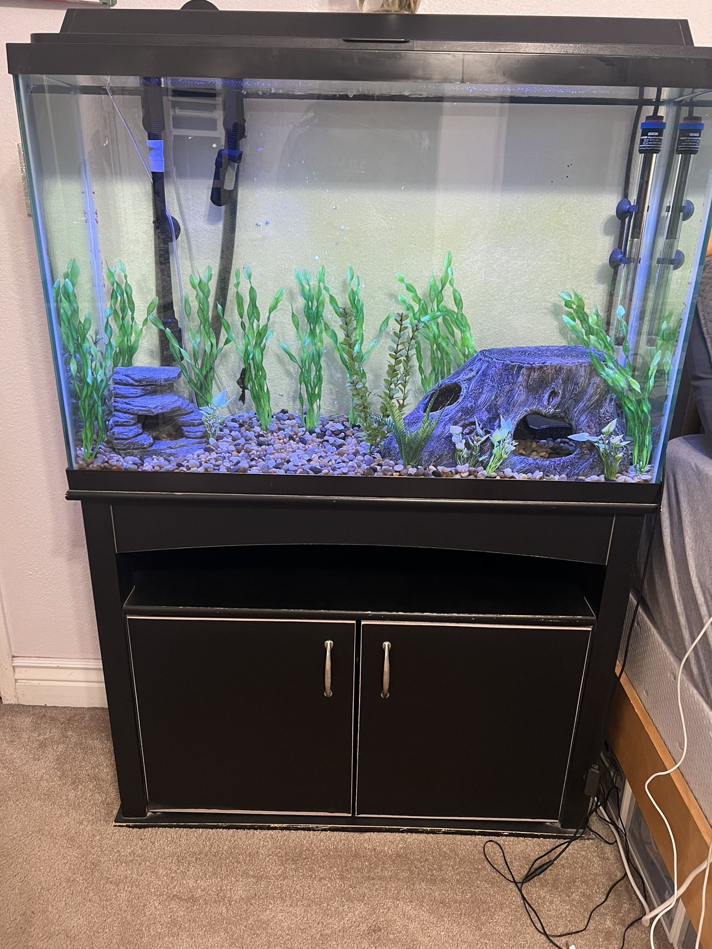 55 gallon fish tank and stand