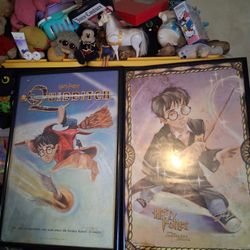 Harry Potter Posters