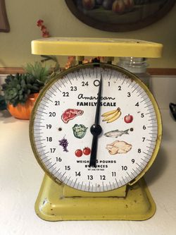 American family kitchen scale