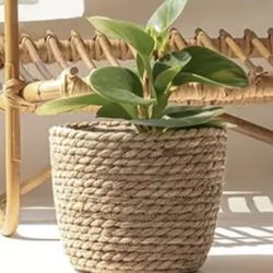 8” Tall Flower Pot Cover, New