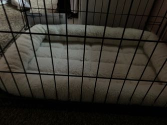 Dog crate