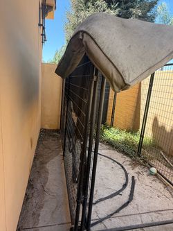 Dog Kennel