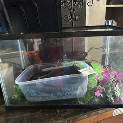 $10 Fish Tank 