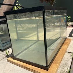10 Gallon Fish Tank