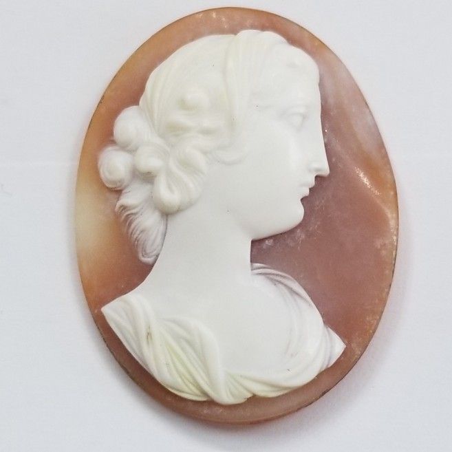 Loose Shell Cameo 
