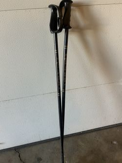 Gipron Ski Poles