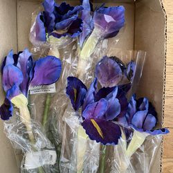 NEW Purple Iris Sprays