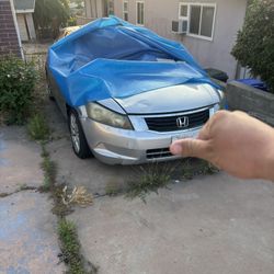 2009 Honda Accord