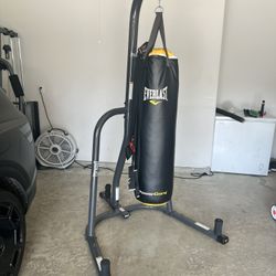 Punching Bag 200 Pound Lbs EVERLAST for Sale in Dallas, TX OfferUp