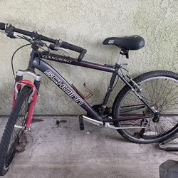 Schwinn Bike