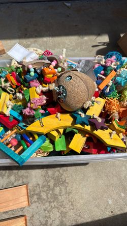 Bird Toys