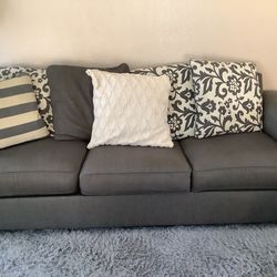 Couches and coffee table