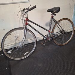 Single Gear Bike 