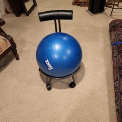 Gym Ball Chair 