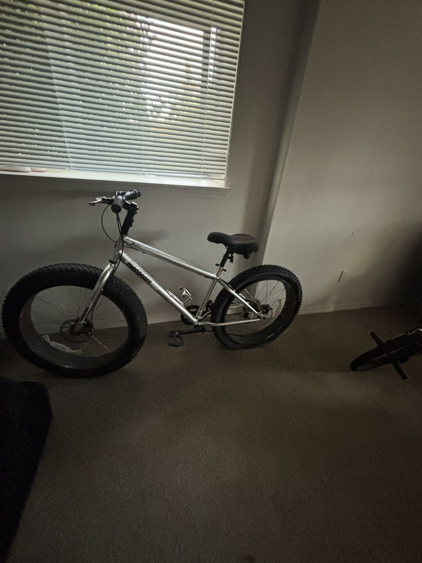 Mongoose Fat Tire Mountain Bike
