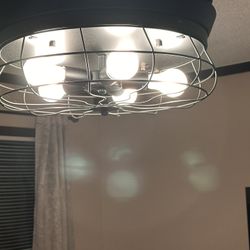 Parrot  Eagle fan With 6 Options For Light And Fan Speed! 