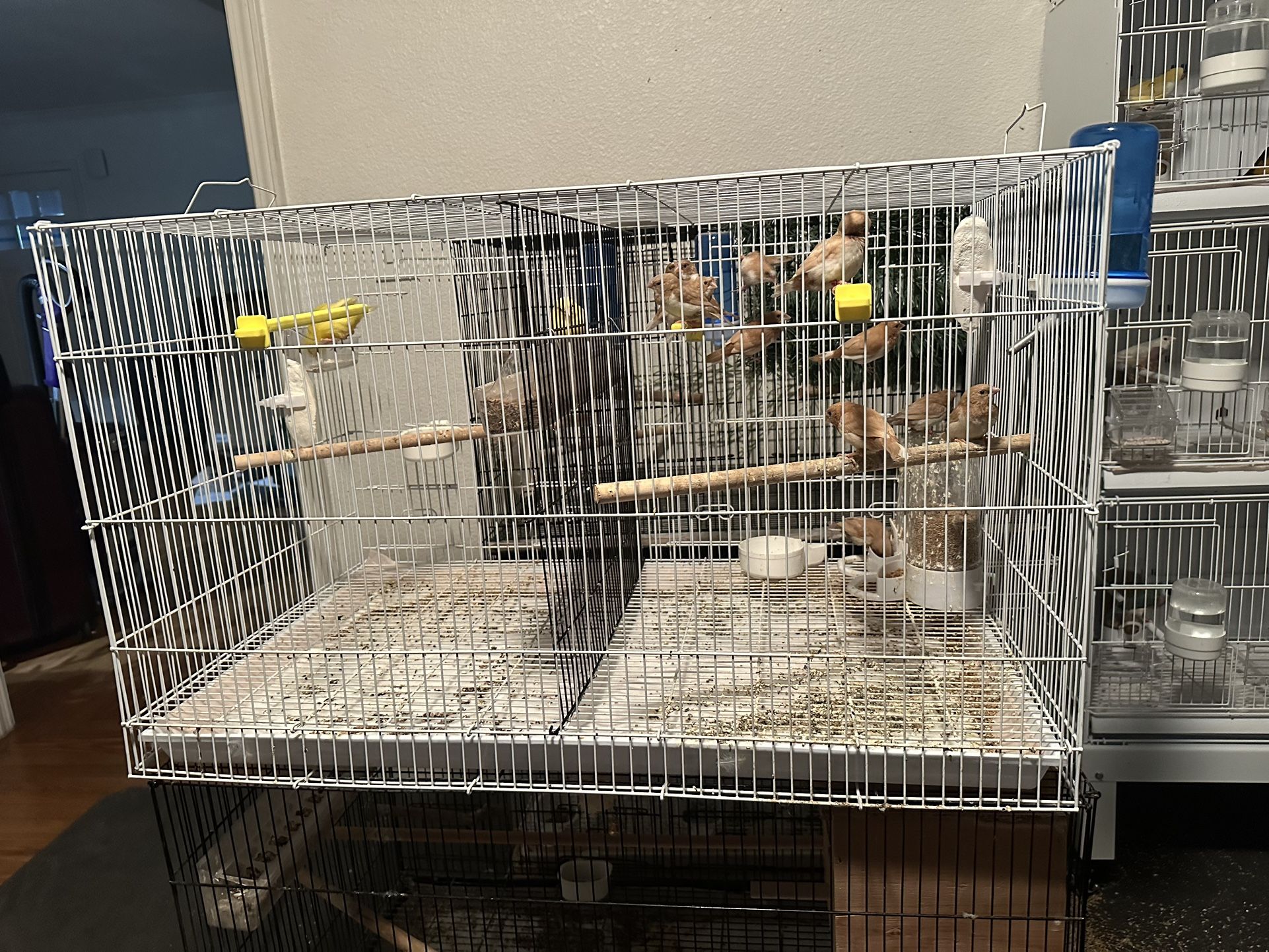 Bird Cages / Birds Breeding Cages 