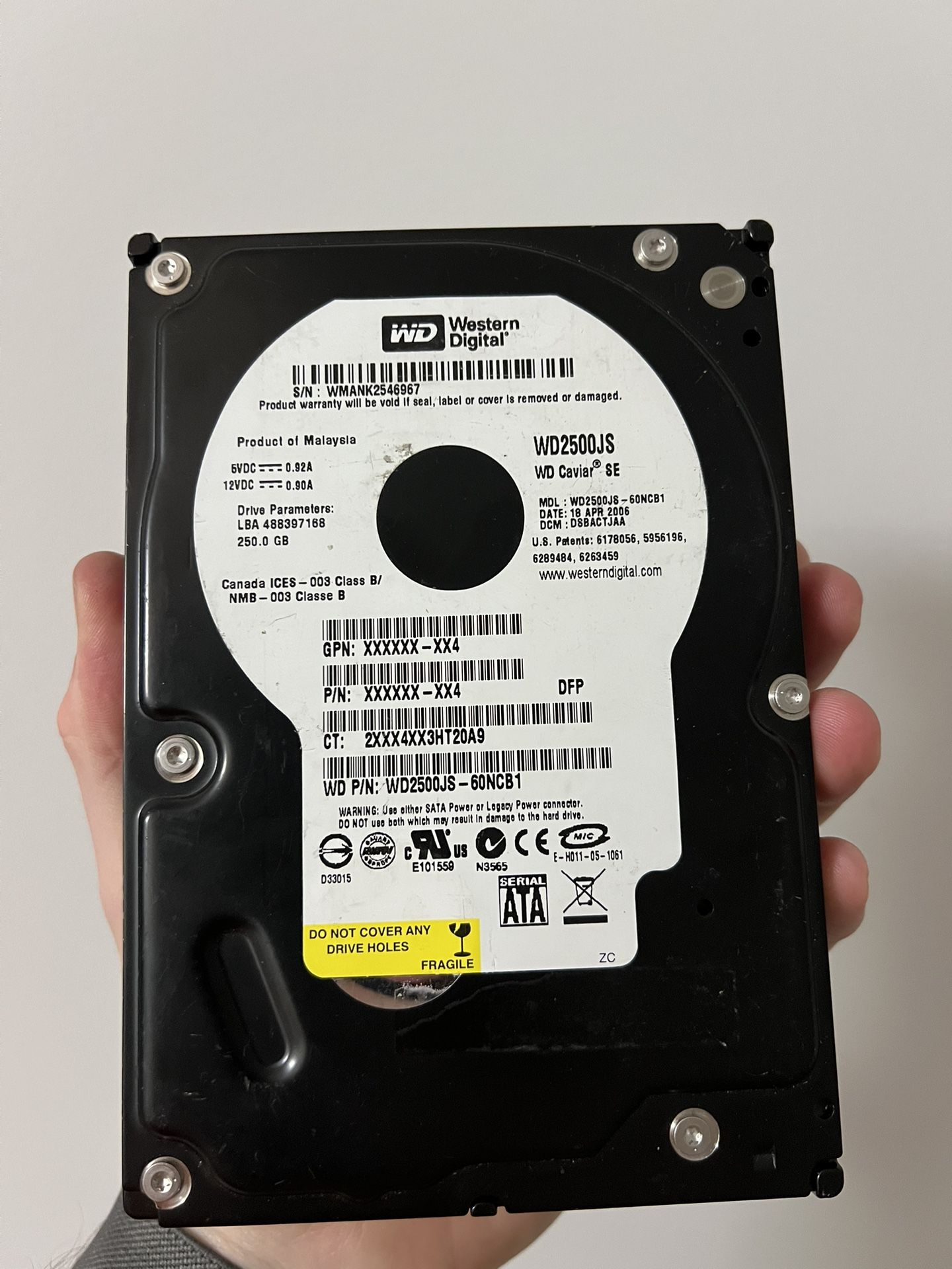 Western Digital Caviar SE - 250 GB