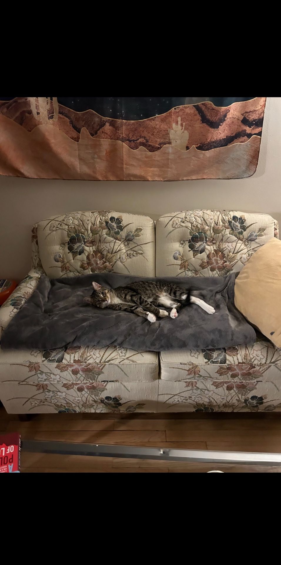 Vintage Floral Couch 