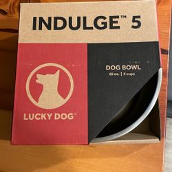 Lucky Dog 