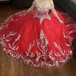 Quinceañera/Prom Sparkly Dress