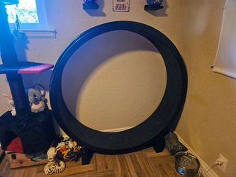 Cat wheel