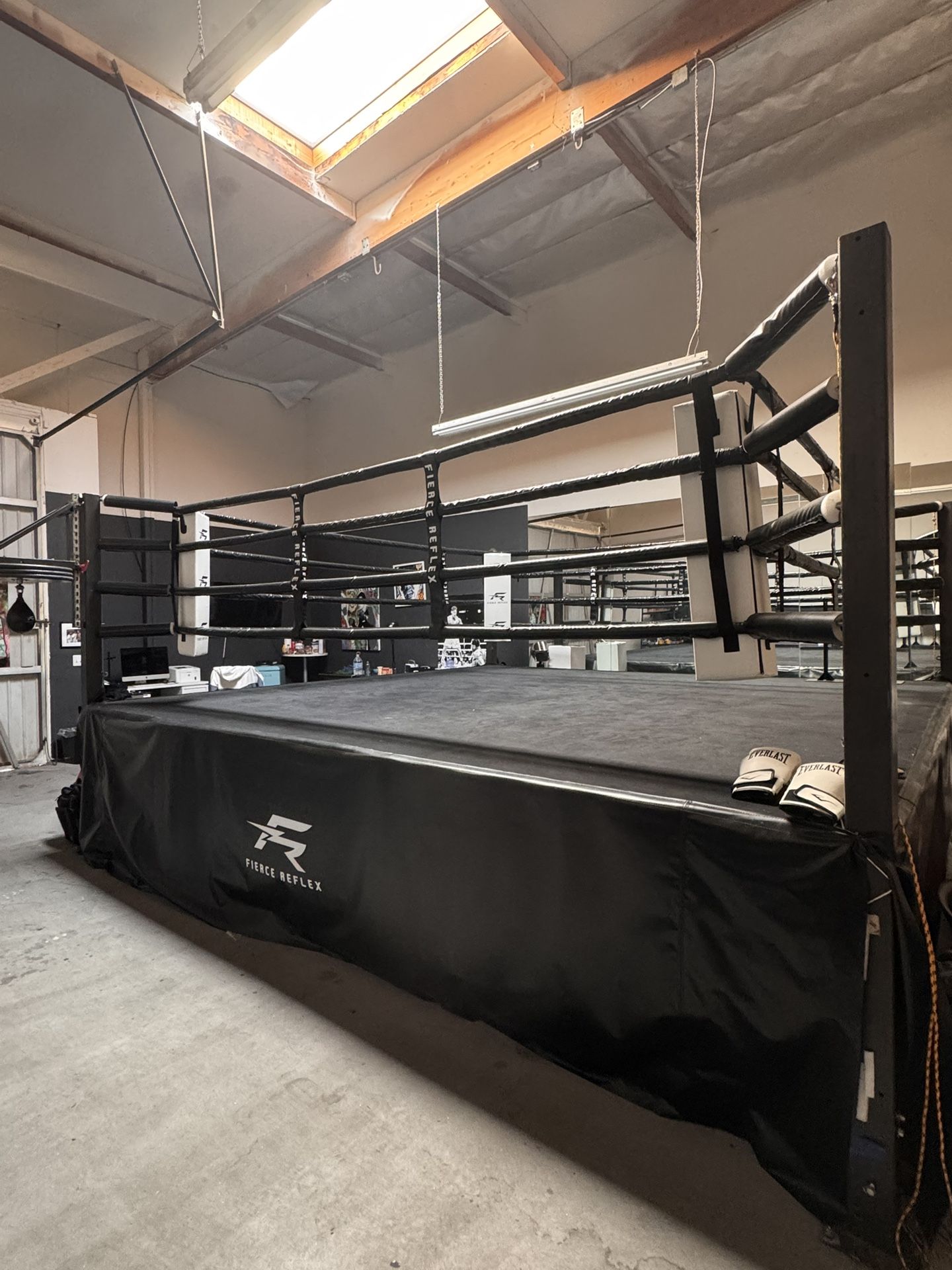 BOXING  RING AND 3 BAGS 