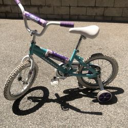 Girl Bicycle /Bicicleta De Niña