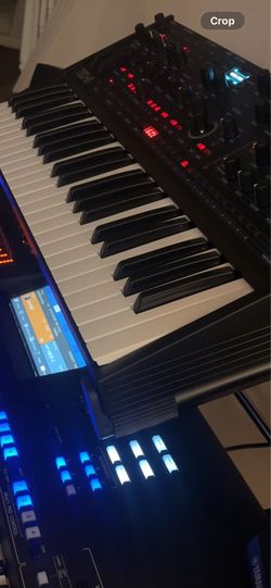 Oberheim Teo 5(only 3 months old)