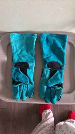 Bird gloves