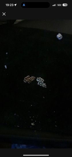 Gold nuggets earrings