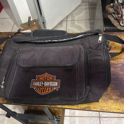Harley Davidson Cooler