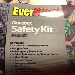 Everstart Glovebox & Roadside Safety Kit For Sale 