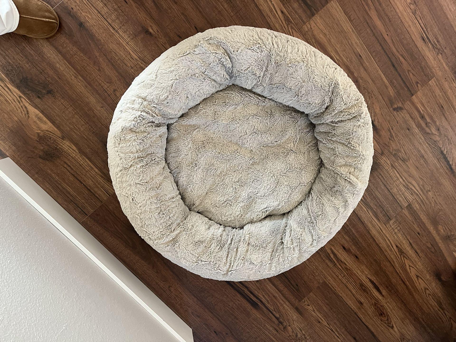 Big Dog Bed