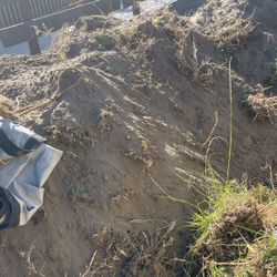 Tierra Gratis Te La Llevó