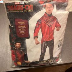 Shang-Chi Adult Costume 
